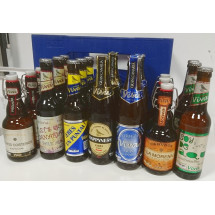 Viva | Cerveza Mix Caja gemischte Kiste kanarisches Bier 20 Flaschen inkl. Pfand (Gran Canaria)