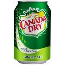Canada Dry |  Ginger Ale Dose 330ml (Gran Canaria)