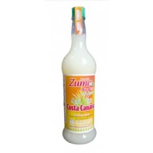 Costa Canaria | Zumo Aloe Vera con Stevia Saft 1l Glasflasche (Gran Canaria)