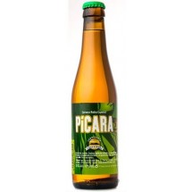 Isla Verde | Picara Cerveza Golden Ale Rubia Especial Bier 5,5% Vol. Glasflasche 330ml (La Palma)