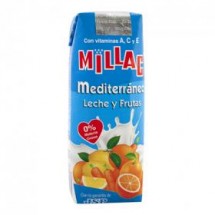 Millac | Mediterranea Leche y Frutas Fruchtmilch 200ml Tetrapack (Gran Canaria)