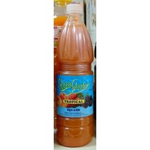 Queen Gardens | Tropical Squash Multisaft 1l PET-Flasche (Gran Canaria)