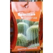 Semillas de Canarias | Cactus Grusoni Kakteen-Samen (Teneriffa)