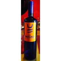 Valle Molina | Vino Blanco Afrutado Weißwein lieblich 750ml (Teneriffa)