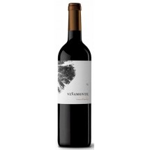 Vinamonte | Vino Rosado Afrutado Rosé-Wein fruchtig 750ml (Teneriffa)
